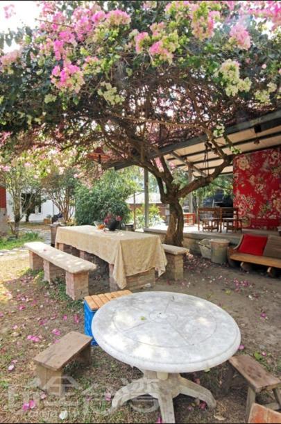 Dongguang Zhixing Homestay Yuchi Bagian luar foto